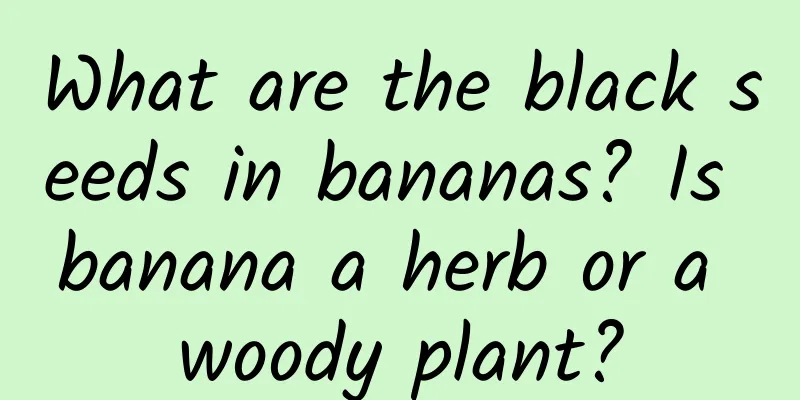 What are the black seeds in bananas? Is banana a herb or a woody plant?