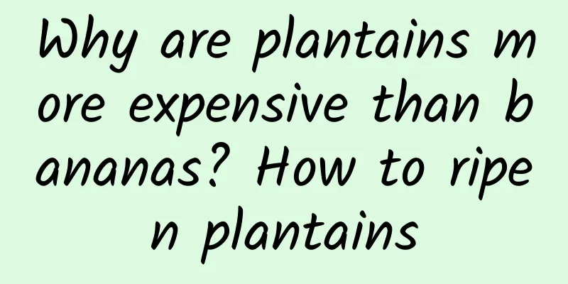 Why are plantains more expensive than bananas? How to ripen plantains