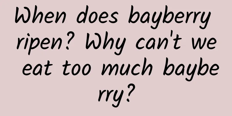 When does bayberry ripen? Why can't we eat too much bayberry?