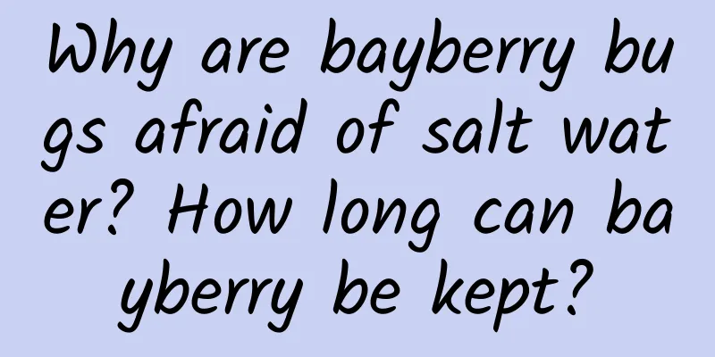 Why are bayberry bugs afraid of salt water? How long can bayberry be kept?