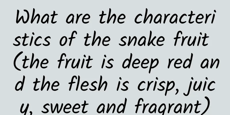 What are the characteristics of the snake fruit (the fruit is deep red and the flesh is crisp, juicy, sweet and fragrant)