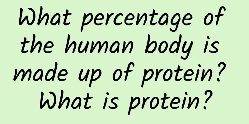 What percentage of the human body is made up of protein? What is protein?
