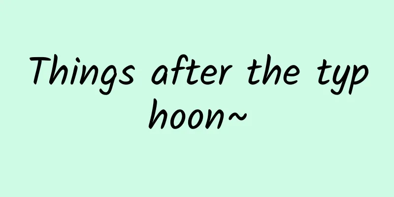 Things after the typhoon~