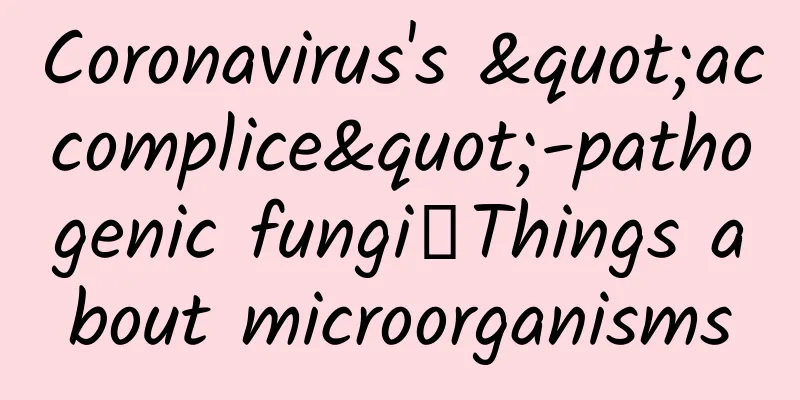 Coronavirus's "accomplice"-pathogenic fungi丨Things about microorganisms
