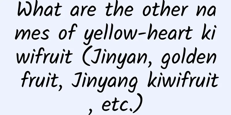 What are the other names of yellow-heart kiwifruit (Jinyan, golden fruit, Jinyang kiwifruit, etc.)
