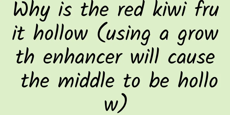 Why is the red kiwi fruit hollow (using a growth enhancer will cause the middle to be hollow)