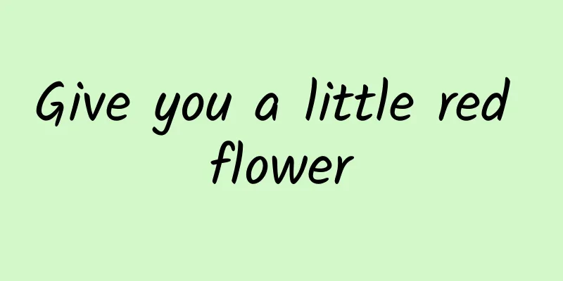 Give you a little red flower