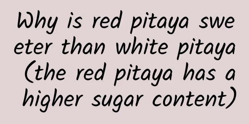 Why is red pitaya sweeter than white pitaya (the red pitaya has a higher sugar content)