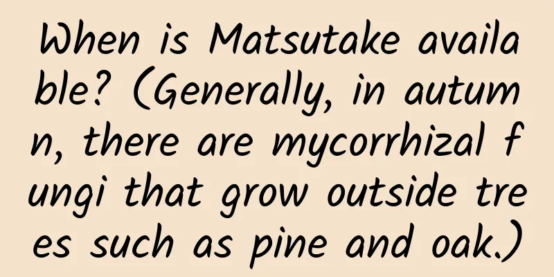 When is Matsutake available? (Generally, in autumn, there are mycorrhizal fungi that grow outside trees such as pine and oak.)