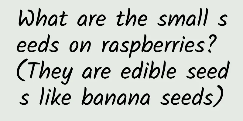 What are the small seeds on raspberries? (They are edible seeds like banana seeds)