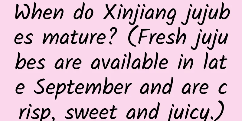 When do Xinjiang jujubes mature? (Fresh jujubes are available in late September and are crisp, sweet and juicy.)