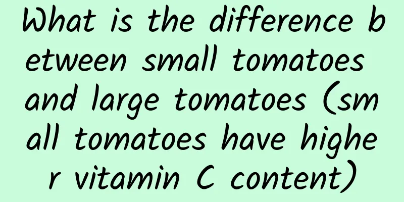 What is the difference between small tomatoes and large tomatoes (small tomatoes have higher vitamin C content)
