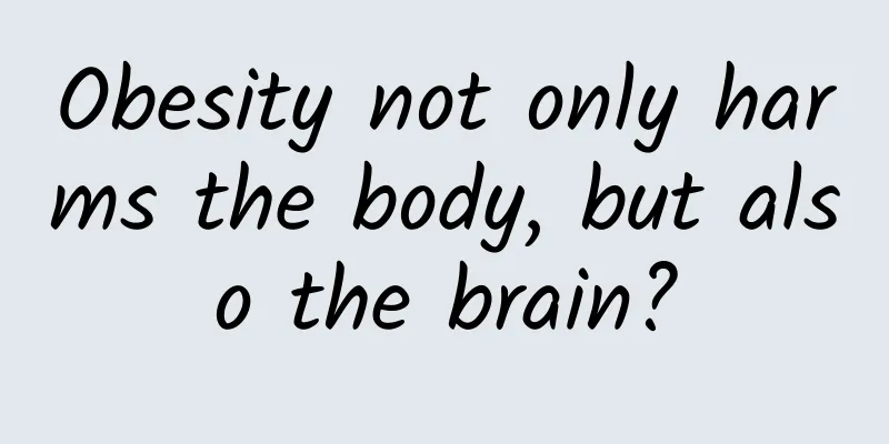 Obesity not only harms the body, but also the brain?