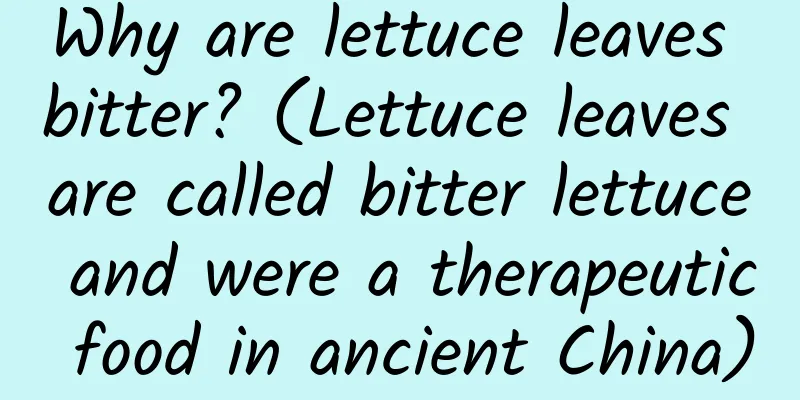 Why are lettuce leaves bitter? (Lettuce leaves are called bitter lettuce and were a therapeutic food in ancient China)