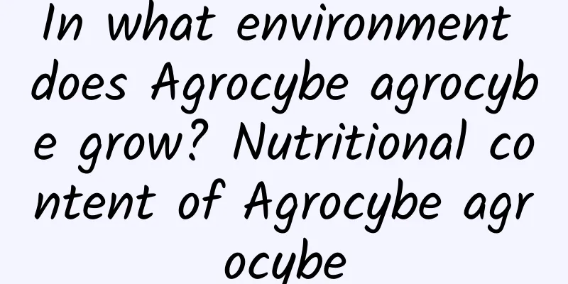 In what environment does Agrocybe agrocybe grow? Nutritional content of Agrocybe agrocybe