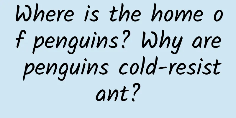 Where is the home of penguins? Why are penguins cold-resistant?