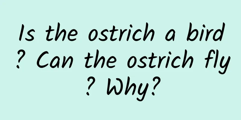 Is the ostrich a bird? Can the ostrich fly? Why?