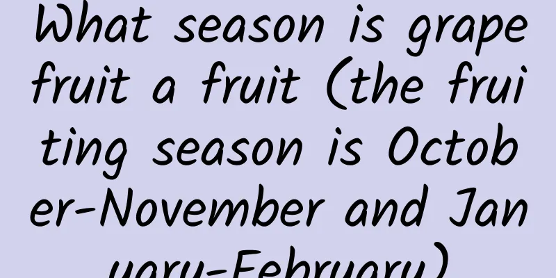 What season is grapefruit a fruit (the fruiting season is October-November and January-February)