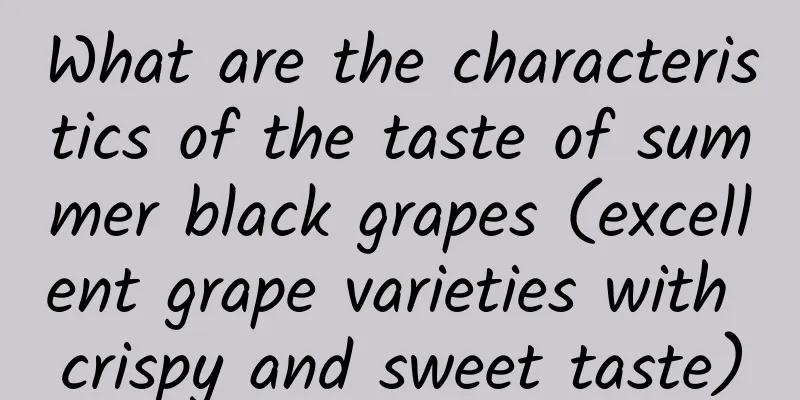 What are the characteristics of the taste of summer black grapes (excellent grape varieties with crispy and sweet taste)