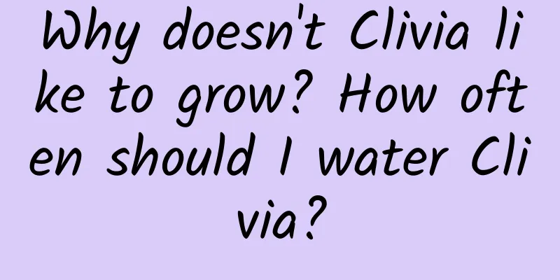 Why doesn't Clivia like to grow? How often should I water Clivia?