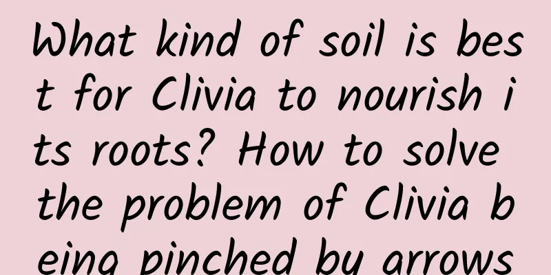 What kind of soil is best for Clivia to nourish its roots? How to solve the problem of Clivia being pinched by arrows