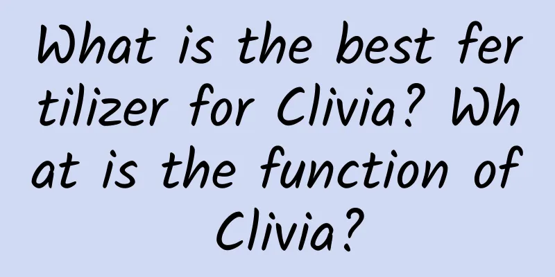 What is the best fertilizer for Clivia? What is the function of Clivia?