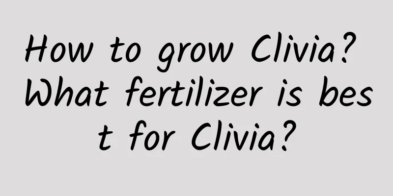 How to grow Clivia? What fertilizer is best for Clivia?