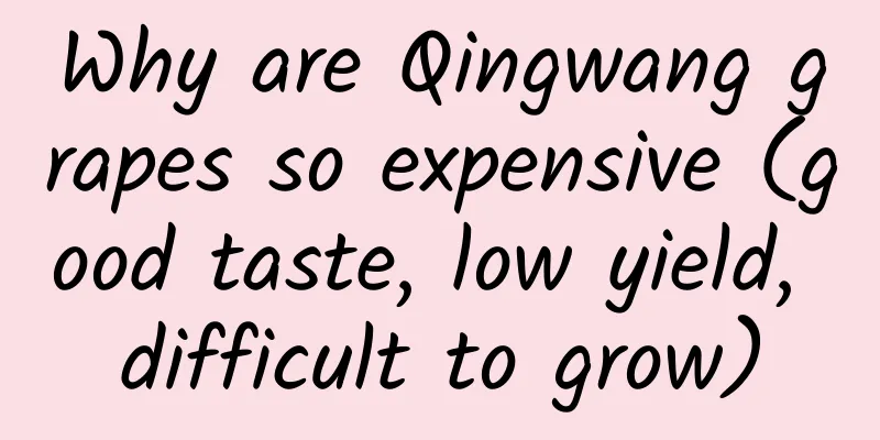 Why are Qingwang grapes so expensive (good taste, low yield, difficult to grow)