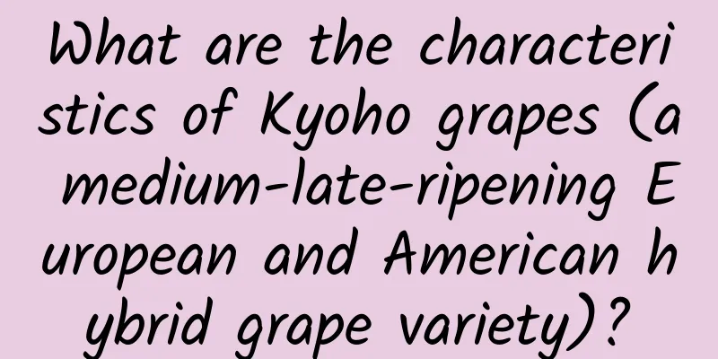 What are the characteristics of Kyoho grapes (a medium-late-ripening European and American hybrid grape variety)?