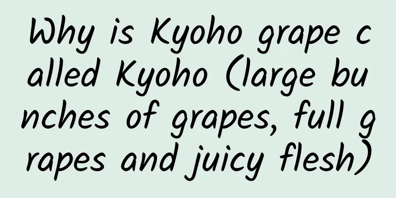 Why is Kyoho grape called Kyoho (large bunches of grapes, full grapes and juicy flesh)