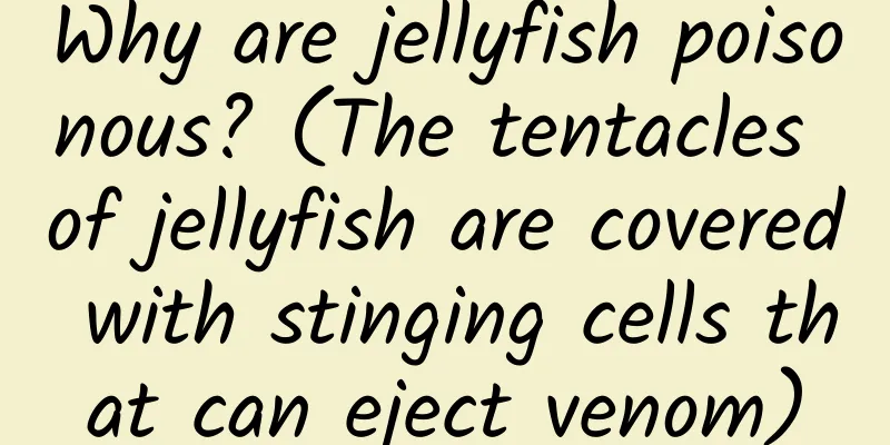 Why are jellyfish poisonous? (The tentacles of jellyfish are covered with stinging cells that can eject venom)