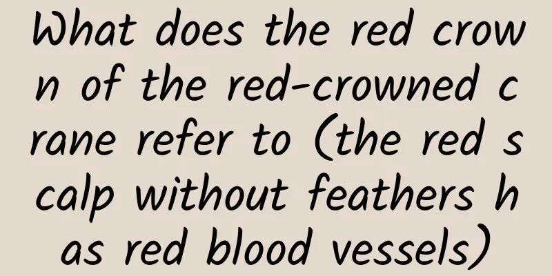 What does the red crown of the red-crowned crane refer to (the red scalp without feathers has red blood vessels)