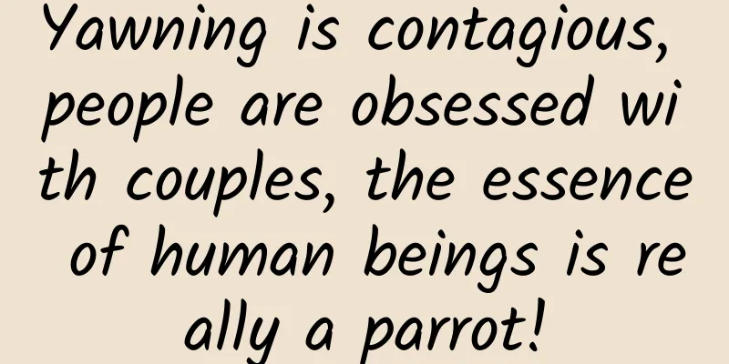 Yawning is contagious, people are obsessed with couples, the essence of human beings is really a parrot!