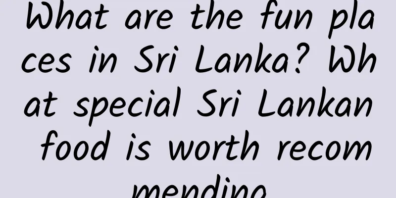What are the fun places in Sri Lanka? What special Sri Lankan food is worth recommending