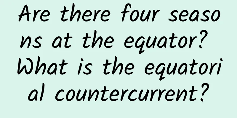 Are there four seasons at the equator? What is the equatorial countercurrent?