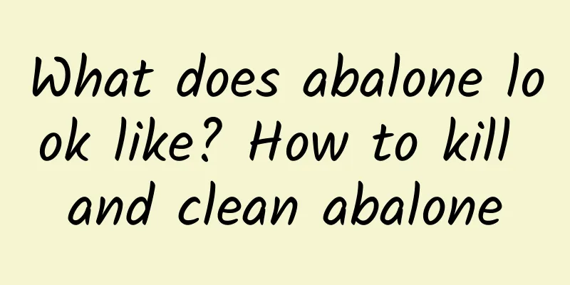 What does abalone look like? How to kill and clean abalone