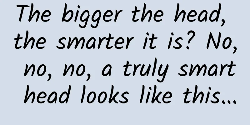 The bigger the head, the smarter it is? No, no, no, a truly smart head looks like this...