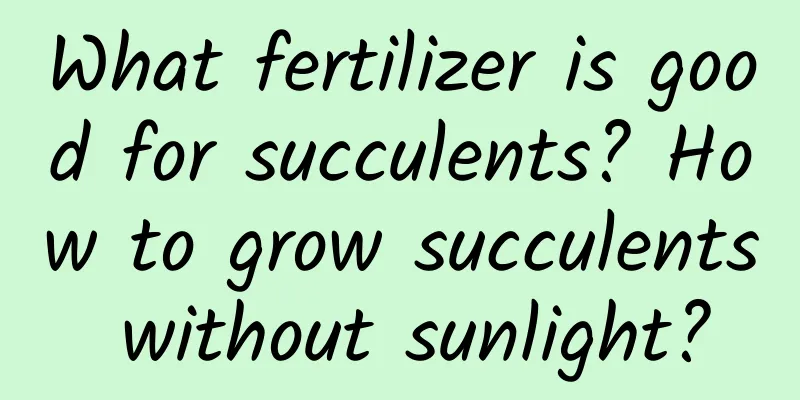 What fertilizer is good for succulents? How to grow succulents without sunlight?