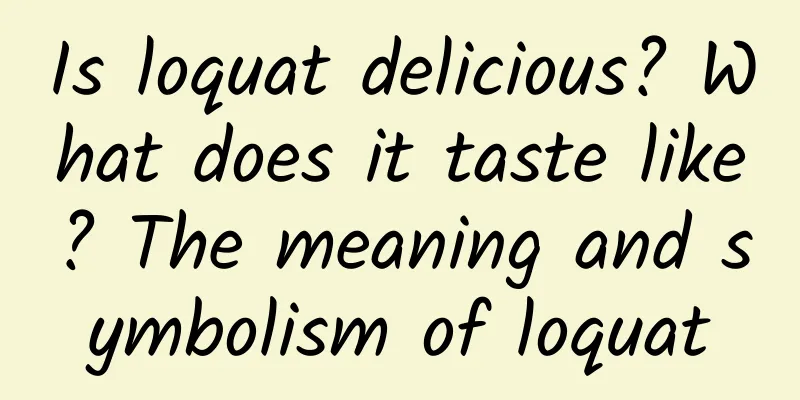 Is loquat delicious? What does it taste like? The meaning and symbolism of loquat