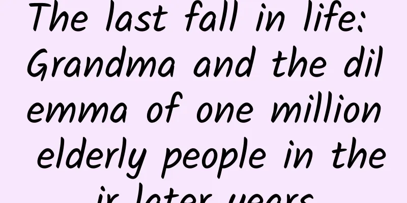 The last fall in life: Grandma and the dilemma of one million elderly people in their later years