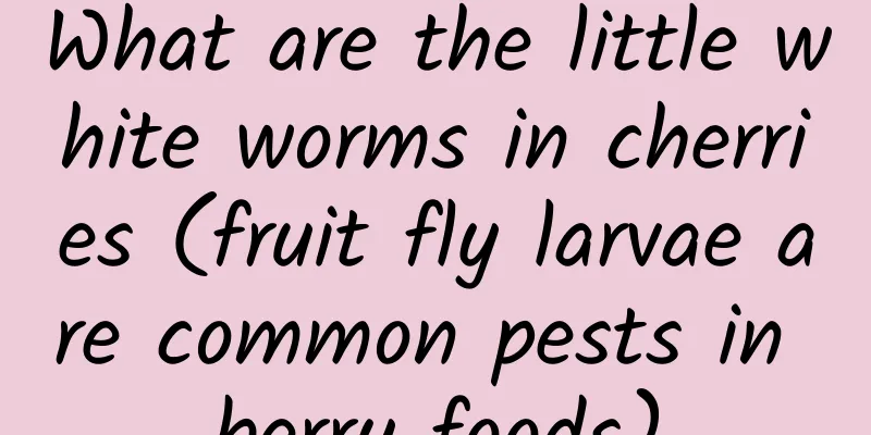 What are the little white worms in cherries (fruit fly larvae are common pests in berry foods)