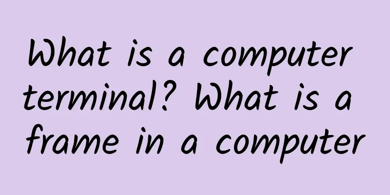 What is a computer terminal? What is a frame in a computer