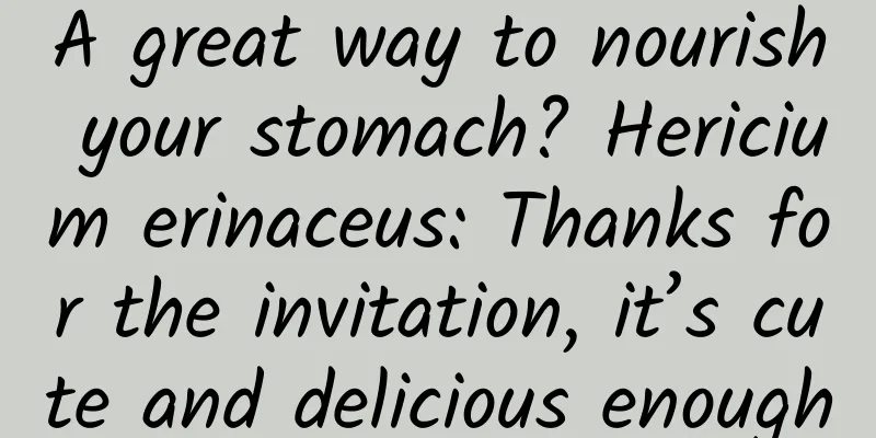 A great way to nourish your stomach? Hericium erinaceus: Thanks for the invitation, it’s cute and delicious enough