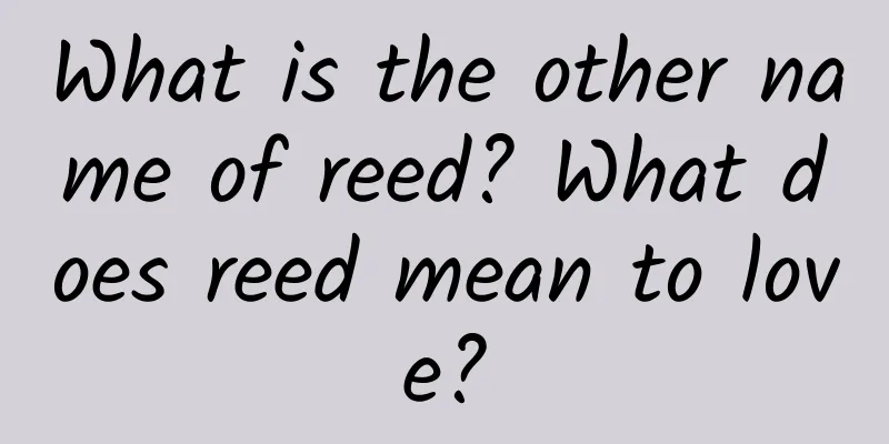 What is the other name of reed? What does reed mean to love?