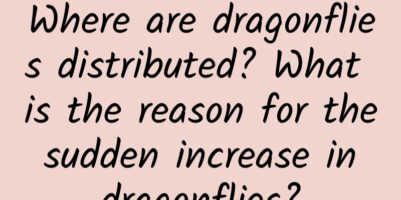 Where are dragonflies distributed? What is the reason for the sudden increase in dragonflies?