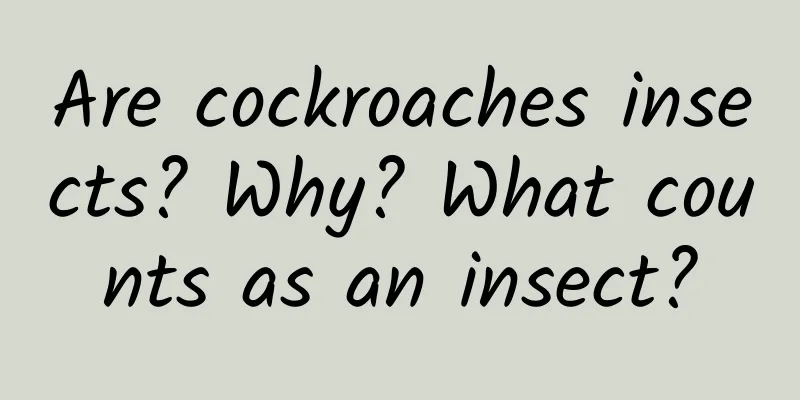 Are cockroaches insects? Why? What counts as an insect?