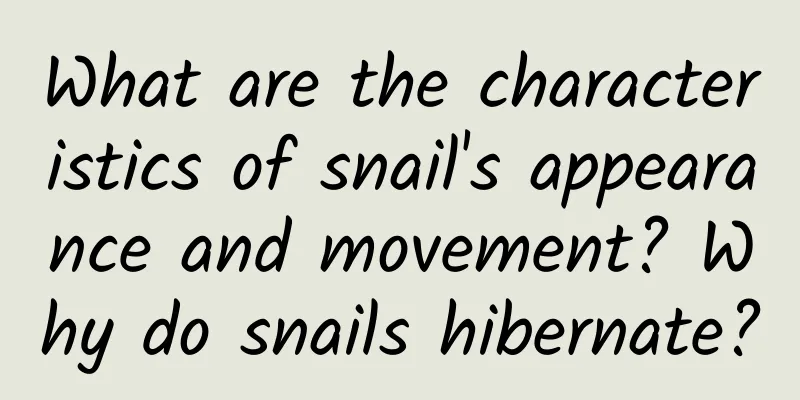 What are the characteristics of snail's appearance and movement? Why do snails hibernate?
