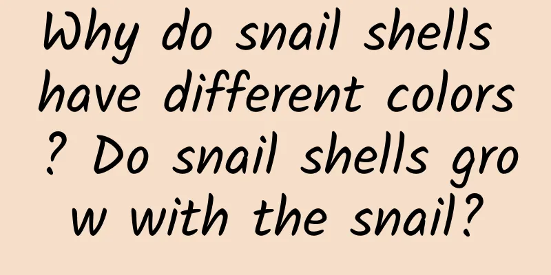 Why do snail shells have different colors? Do snail shells grow with the snail?