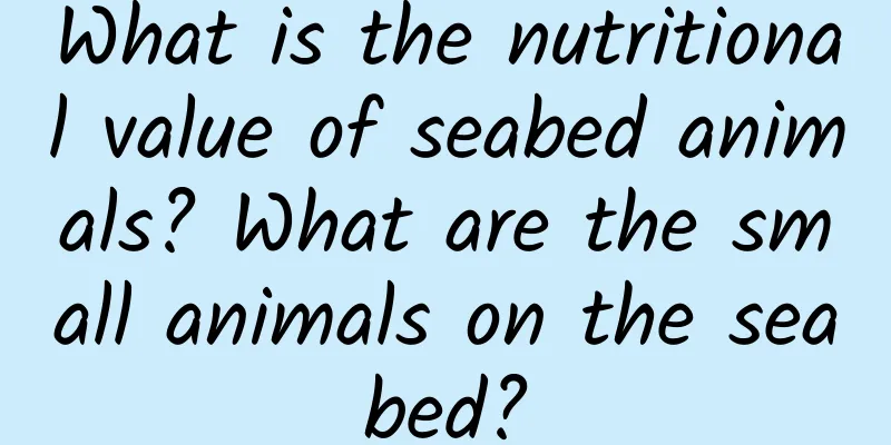 What is the nutritional value of seabed animals? What are the small animals on the seabed?