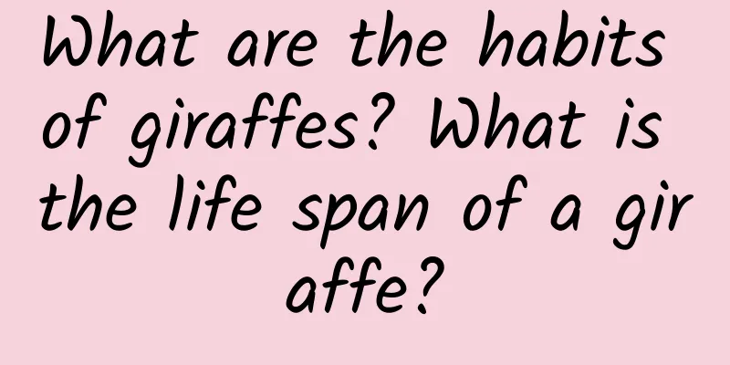 What are the habits of giraffes? What is the life span of a giraffe?